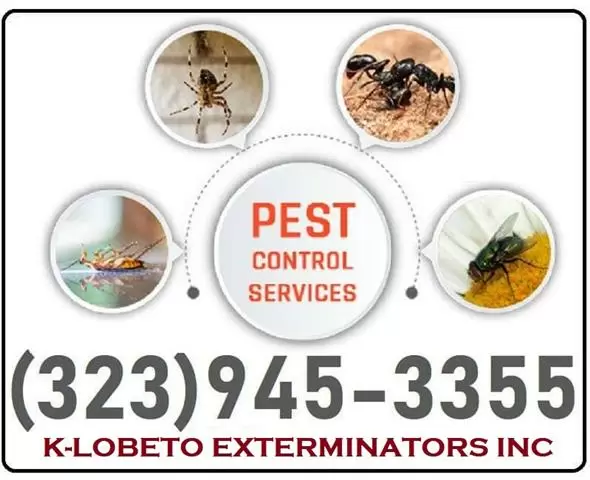 PEST CONTROL (323)945-3355 image 7