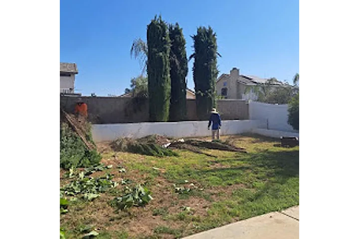 JV's Gardening and Tree Serv image 4