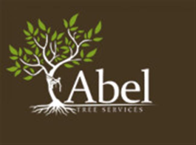 Abel tree services image 1