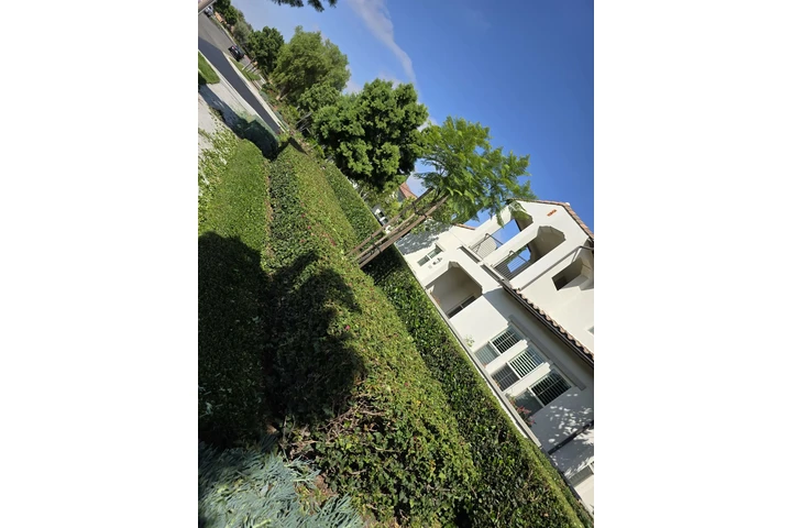 The Bernardinos landscaping image 7
