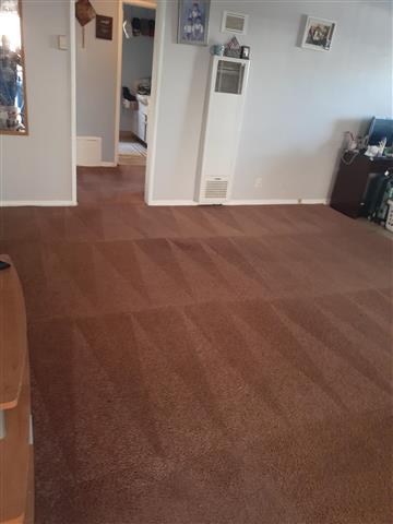 Roberto's carpet cleaning image 6
