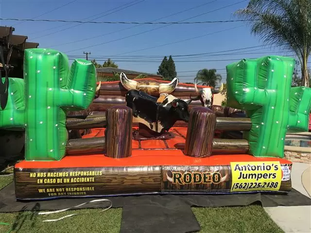 Toros mecanico water slide image 2