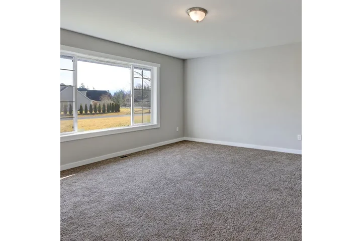 Gus Carpets image 3