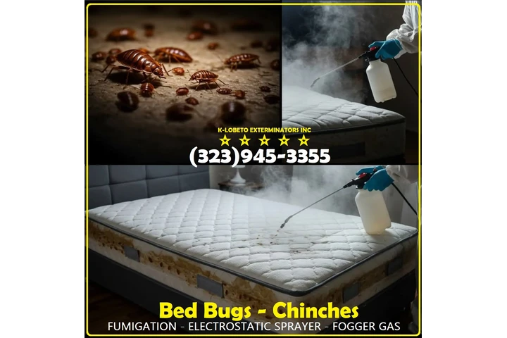 FUMIGACIONES - EXTERMINADORES image 9