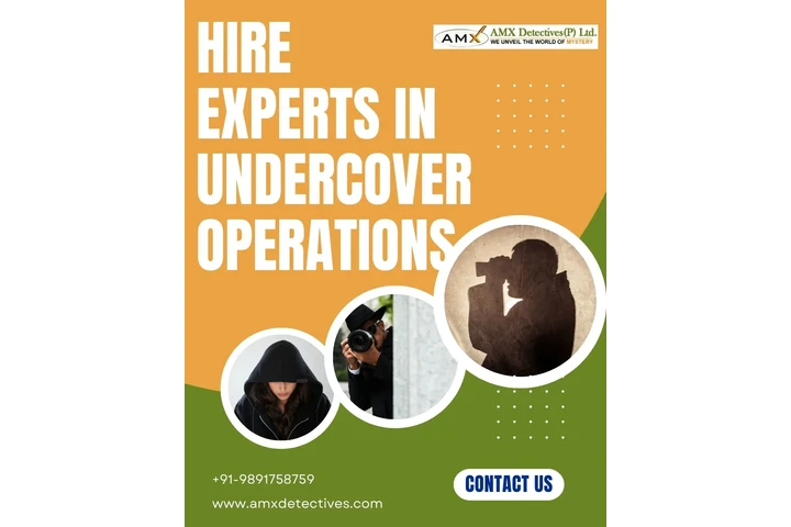 Expert in Undercover Operation image 1