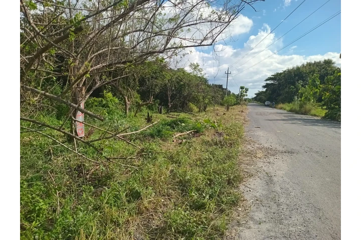 $435000 : Se vende terreno en Río Grande image 5