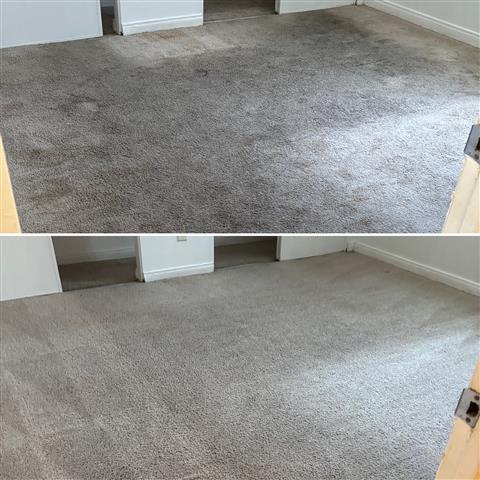 Lopez Carpet Cleaning image 5