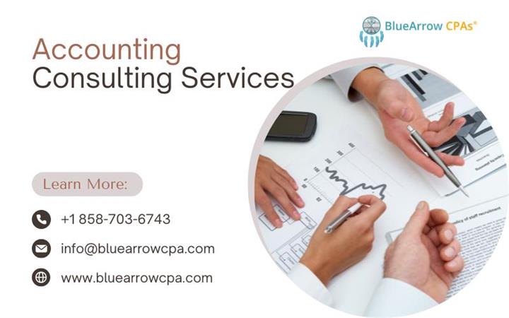 Accounting consulting services image 1