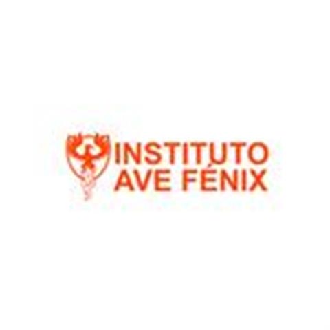 Instituto Ave Fenix image 1