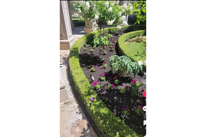 Tree service image 3