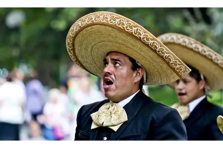 Mariachi Sol de Veracruz image 4