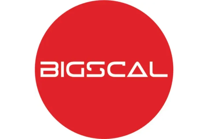 Bigscal The Ultimate Software image 1