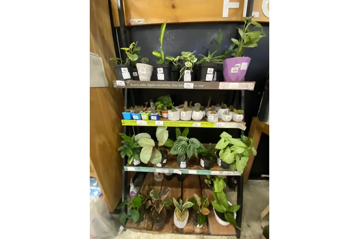 ¡Oportunidad única de negocio image 1