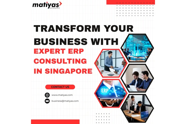 ERP Consulting in Singapore image 1