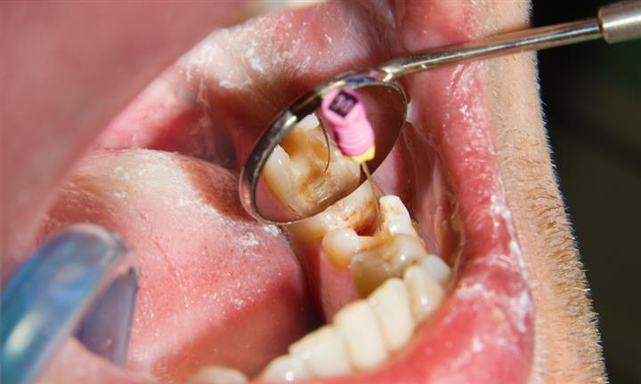 Primera Dental image 4