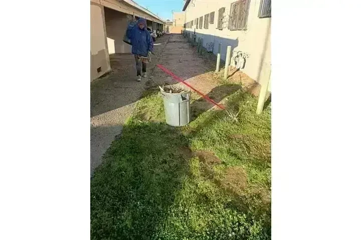 CANALEZ GARDENING SERVICES image 9