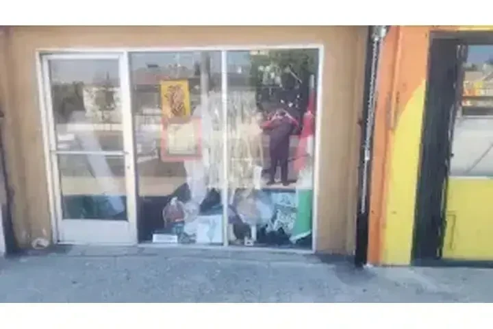 OPORTUNIDAD DE NEGOCIO image 7