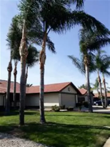 JV's Gardening Services image 9