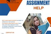 Database Assignment Help en London