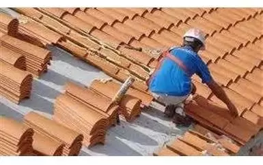 SU ROOFING TIENE DANOS?? image 1