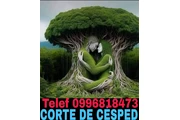 Corte de césped en Iñaquito thumbnail
