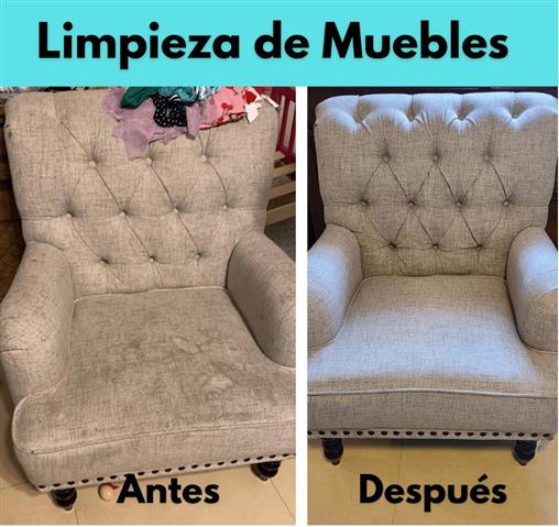 Limpieza de Sofa y Muebles image 1