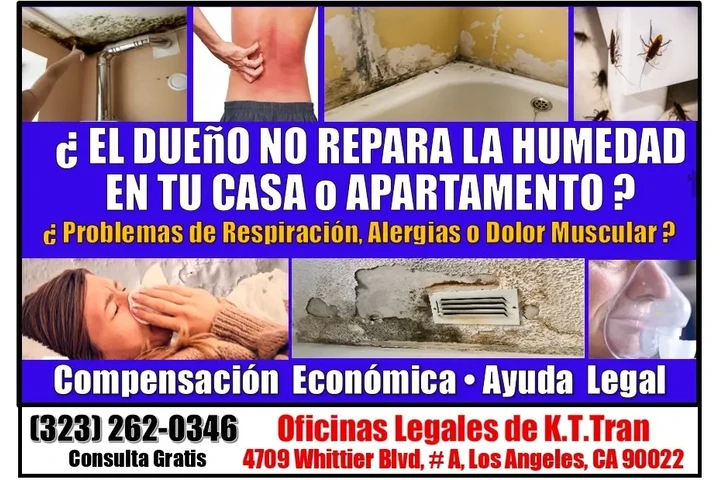 🔥EL DUEÑO NO REPARA SU CASA ? image 1