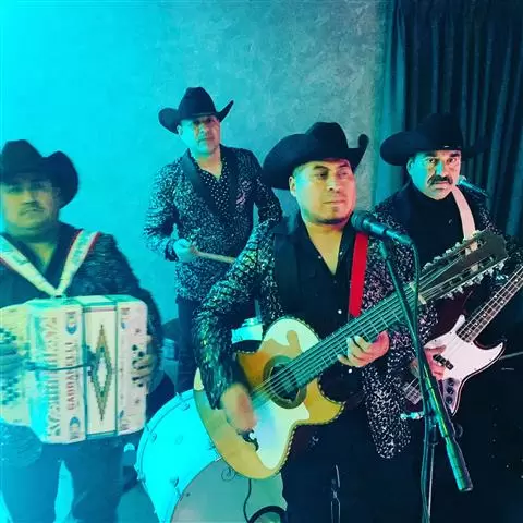 ACENDADO NORTEÑO image 3