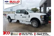 $25991 : Ford F-250 Super Duty 2019 4 thumbnail