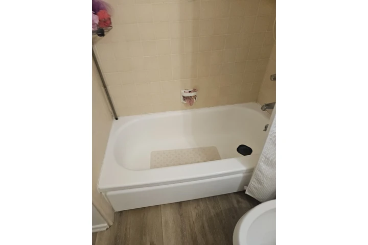 House cleanning image 1