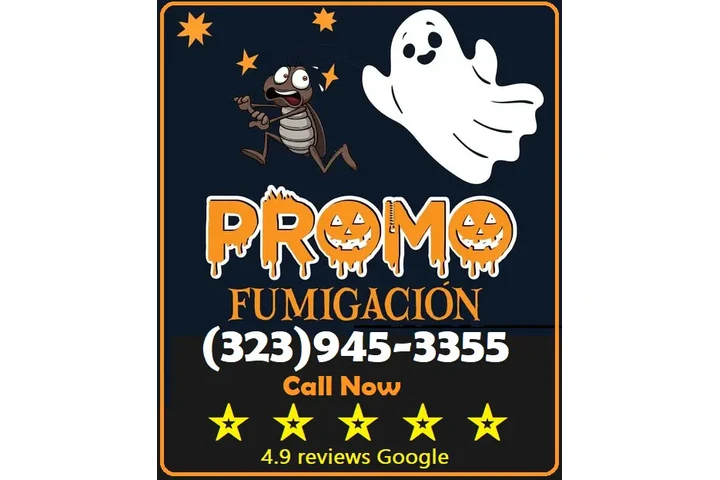 FUMIGACIONES 🎃 🦇 HALLOWEEN.- image 7