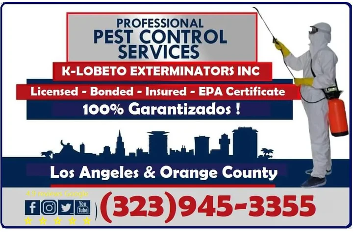 CHRISTMAS FUMIGATIONS 2025🎅 image 4