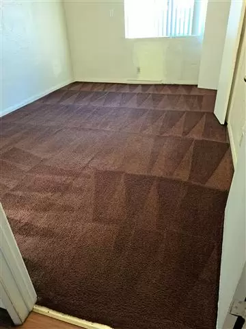 Carlos carpet image 2