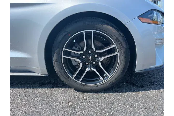 $17584 : Ford Mustang 2019 EcoBoost P image 5