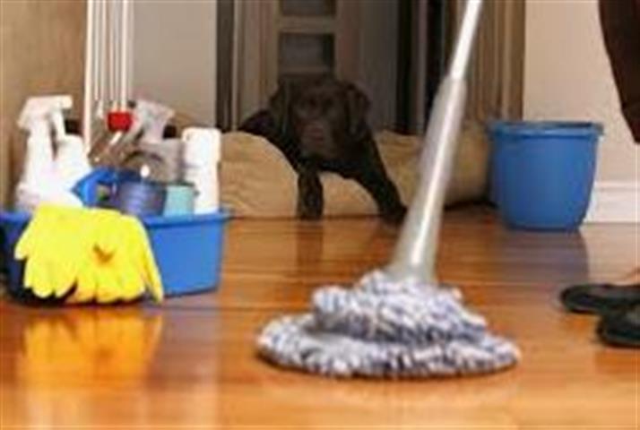 LILIAN HOUSE CLEANING image 1