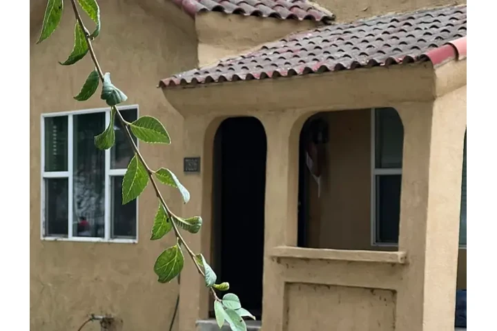 $1630 : FOR LEASE La Salle Ave, Los An image 3