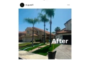 MartinTree ServicesLandscaping thumbnail