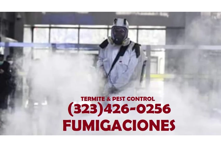 CONTROL PLAGAS FUMIGACIONES image 7