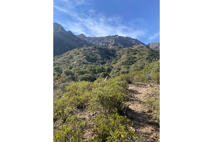 Busco emprendimiento image 1