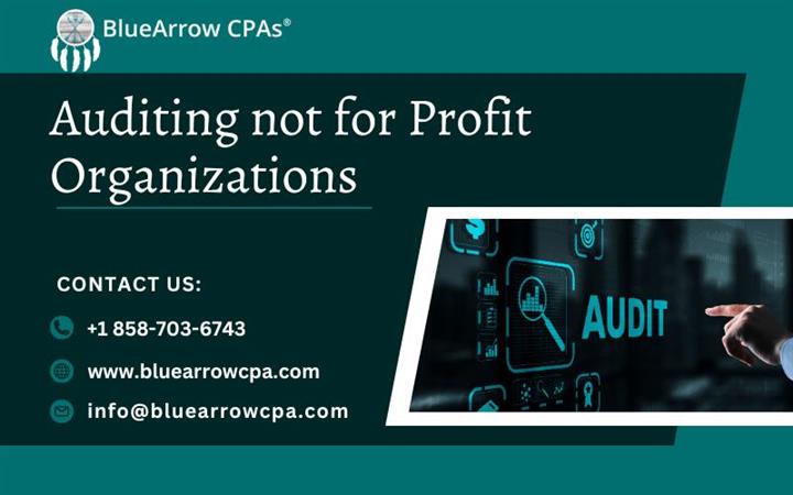 Auditing for not for profits image 1