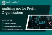 Auditing for not for profits en San Diego