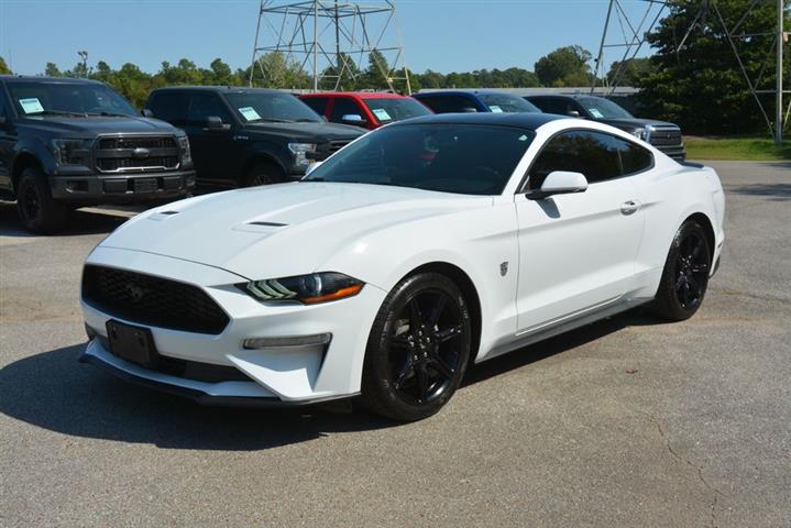 2019 Mustang EcoBoost image 1