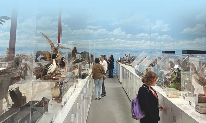 Western Foundation of Vertebrate Zoology