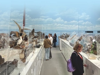 Western Foundation of Vertebrate Zoology