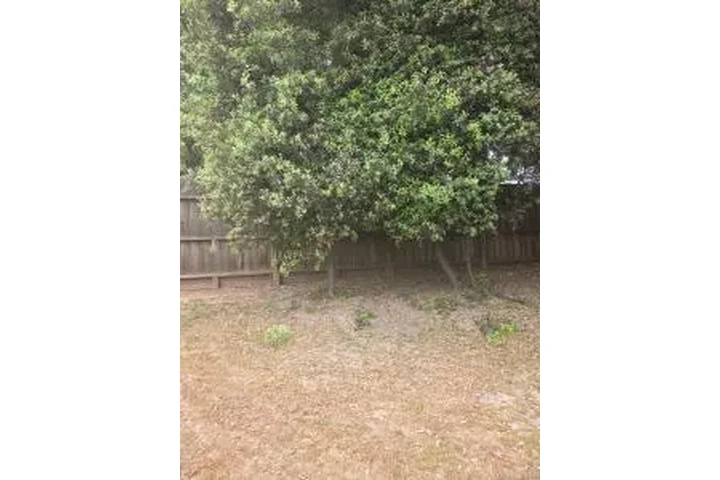 Fredy’s House Cleaning image 2