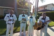 MARIACHI AZTECA ZACATECAS thumbnail