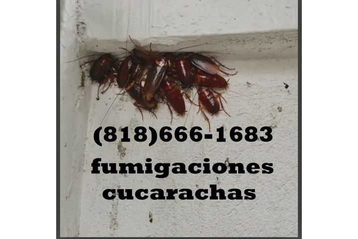 FUMIGACIONES VALLE FERNANDO image 1