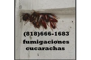 FUMIGACIONES VALLE FERNANDO