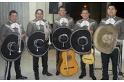 MARIACHI P en Los Angeles