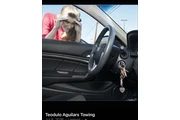 Bakersfield Arvin Grua Towing en Bakersfield